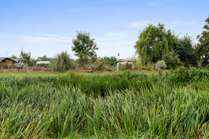 Photo 24- click for photo gallery